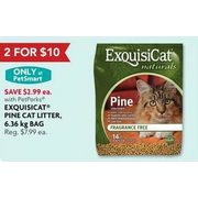 exquisicat cat litter