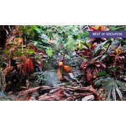 $20 for Two Entries to The Butterfly Gardens ($37.57 Value)