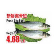 Fresh Sea Bass - $4.68/lb