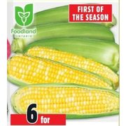 Fresh Corn On The Cob - 6/$1.99
