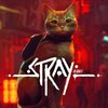 Where to Buy Stray in Canada