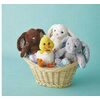All Creatology Easter Fun Finds - 50% off