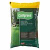 Golfgreen Enriched Lawn Soil - 2/$10.00 (20% off)
